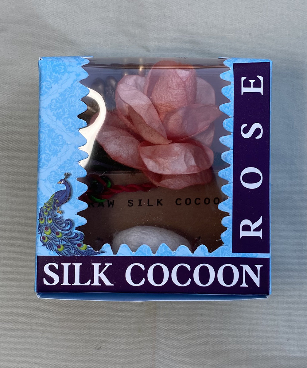 Peach Silk Cocoon Rose